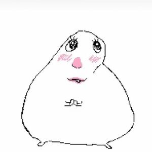 Meet your Posher, Evelyn